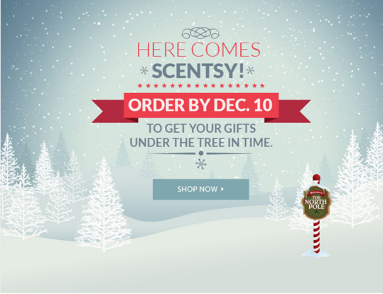 Order by Dec. 10 for Guaranteed Christmas Delivery!