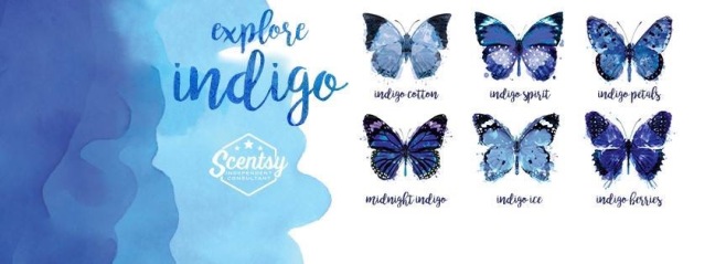 Explore Indigo by Scensy!